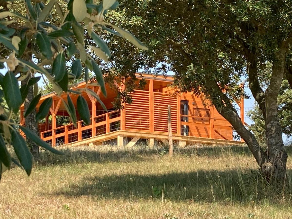 Cabanes Tresors De Campagne,Spas Privatifs Villarzel-du-Razes Exterior photo