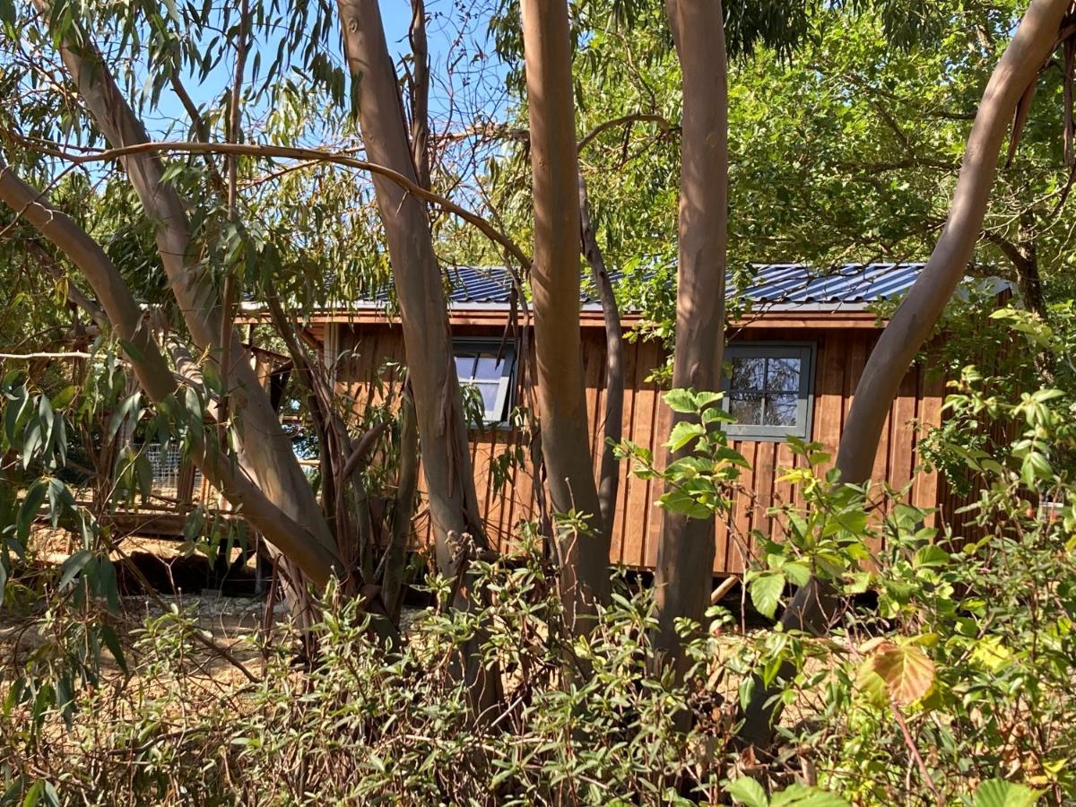 Cabanes Tresors De Campagne,Spas Privatifs Villarzel-du-Razes Exterior photo