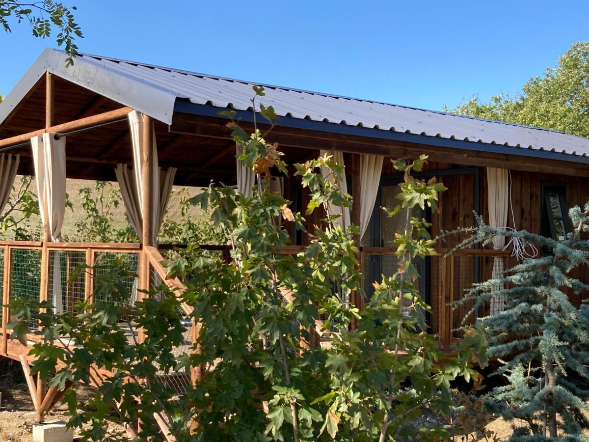 Cabanes Tresors De Campagne,Spas Privatifs Villarzel-du-Razes Exterior photo
